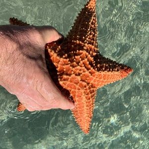 Meet your Posher, Arduino